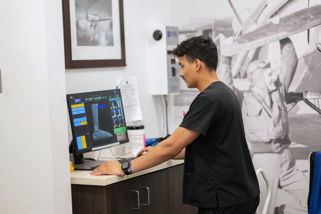 image of staff at the computer